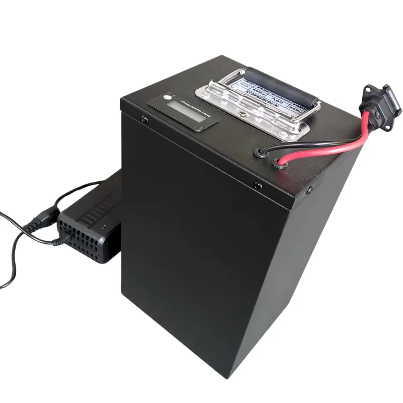 SK- 24S BMS 72V 20Ah 40Ah 60Ah 80Ah 100Ah 120Ah 150Ah 180Ah lifepo4 lithium batt