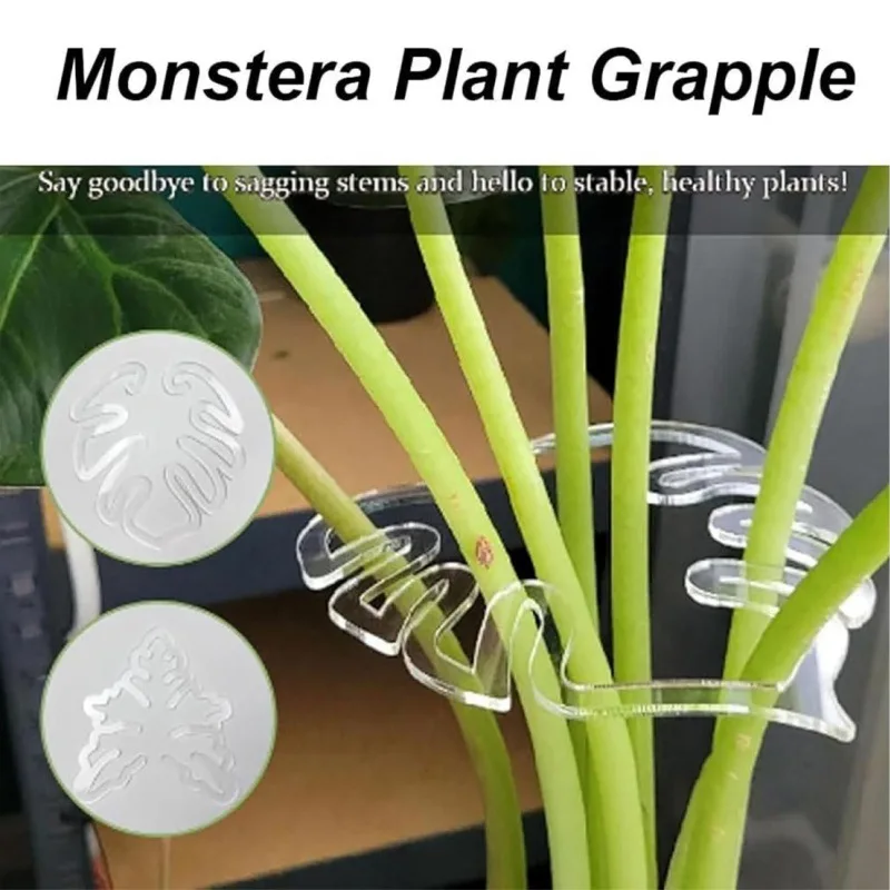 Plant Stem Support Reusable Clear Plastic Leaf Plant Support Indoor And Outdoor Wide Range Plants Flowers Fixed Bracket