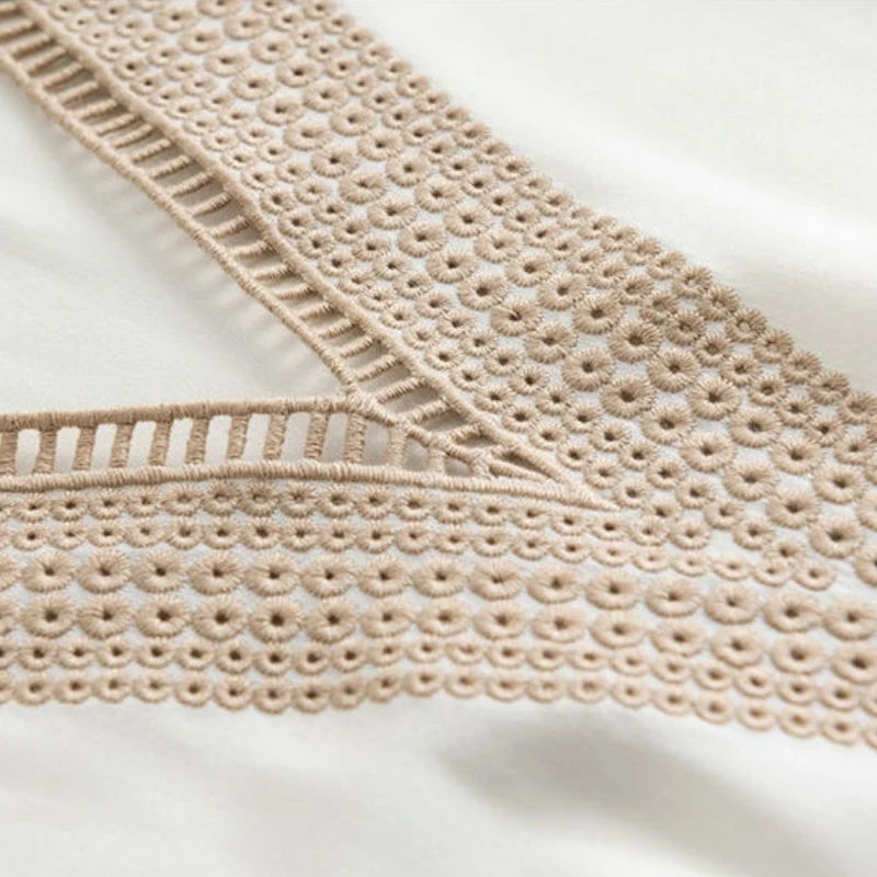 Elegant White Lace Long Sleeve V Neck Blouse for Women