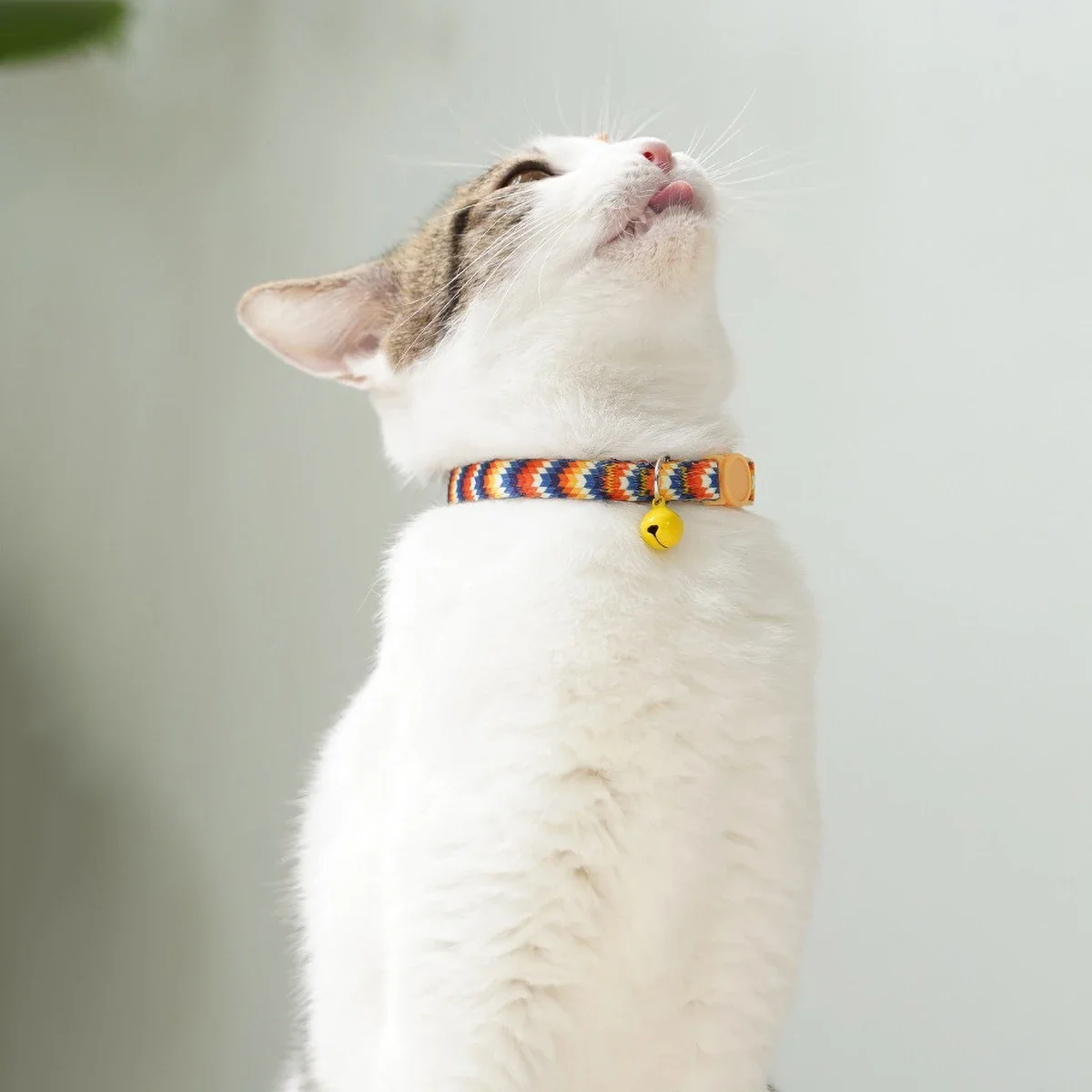 Concise Design Cat Weaving 15-30cm Necklace Collar with Bell Anti-Suffocation Comfortable Safe Buckle Pet Decoration Accessory