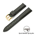 Green-Gold Buckle