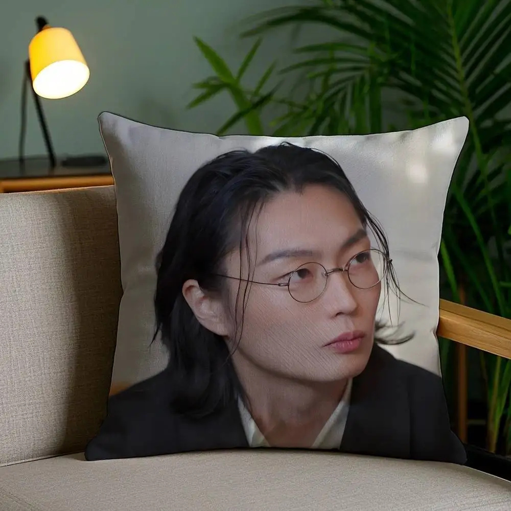R-Roh J-Jae Won Kissenbezug Anti-Dustmite Schlafsofa mit unsichtbarem Reißverschluss – Detail 6