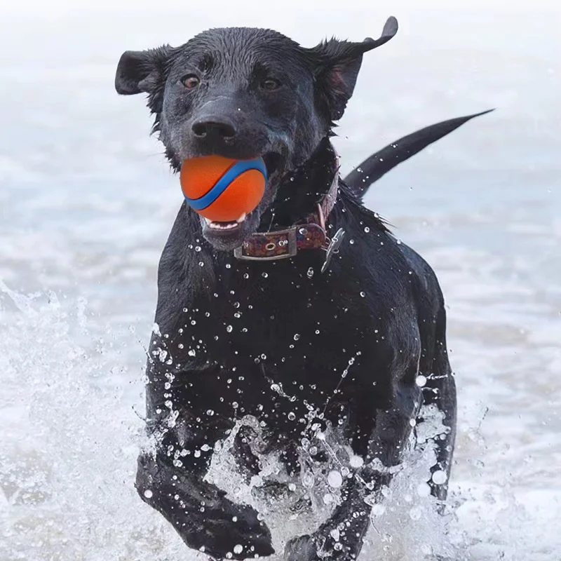Bouncy Squeaky Dog Ball Overview