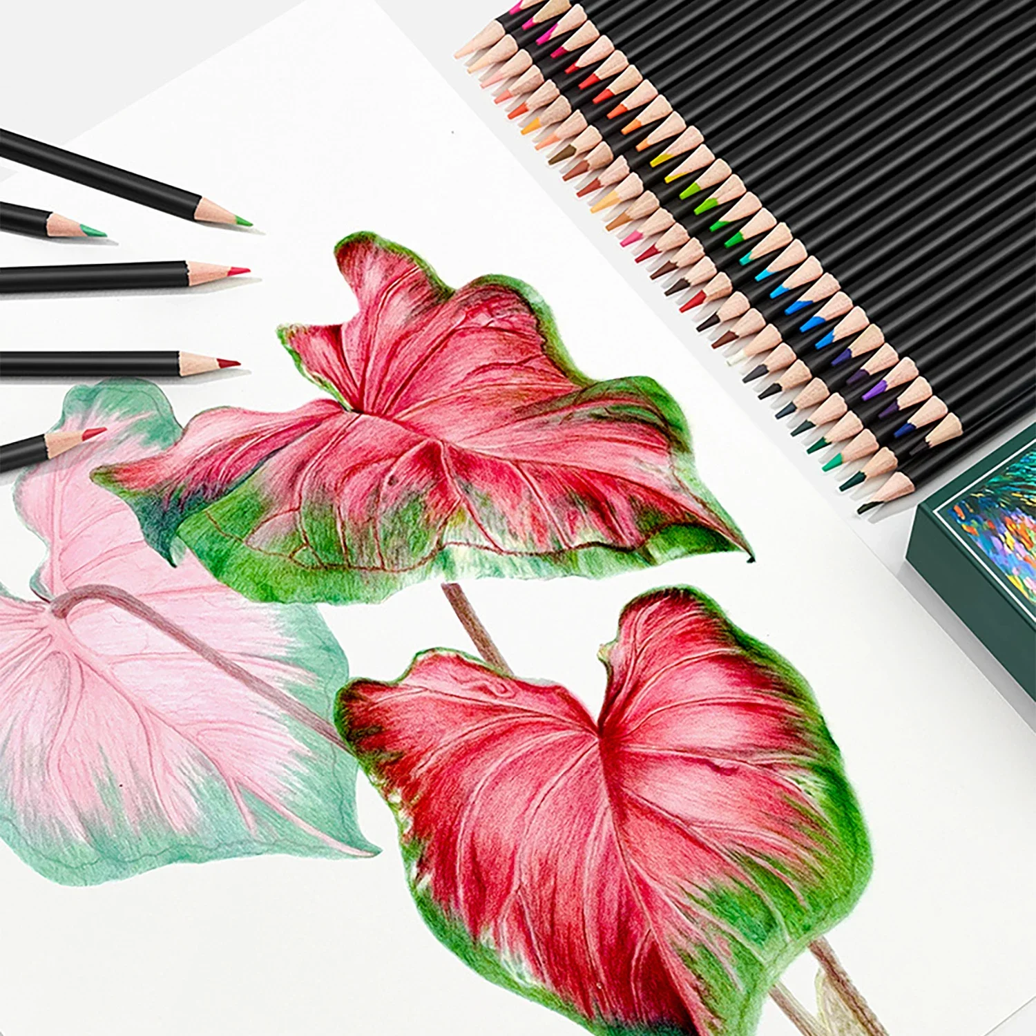 Vibrant Soft Core Colored Pencils for Creative Coloring and Drawing