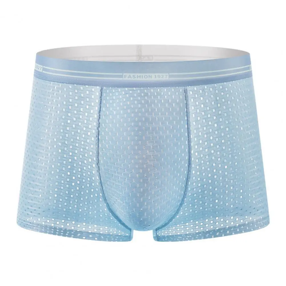 

Plus Size Men Boxers Breathable Seamless Thin Hollow Out Ice Silk Panties Cooling Anti-septic U Convex Plus Size Men Underwear