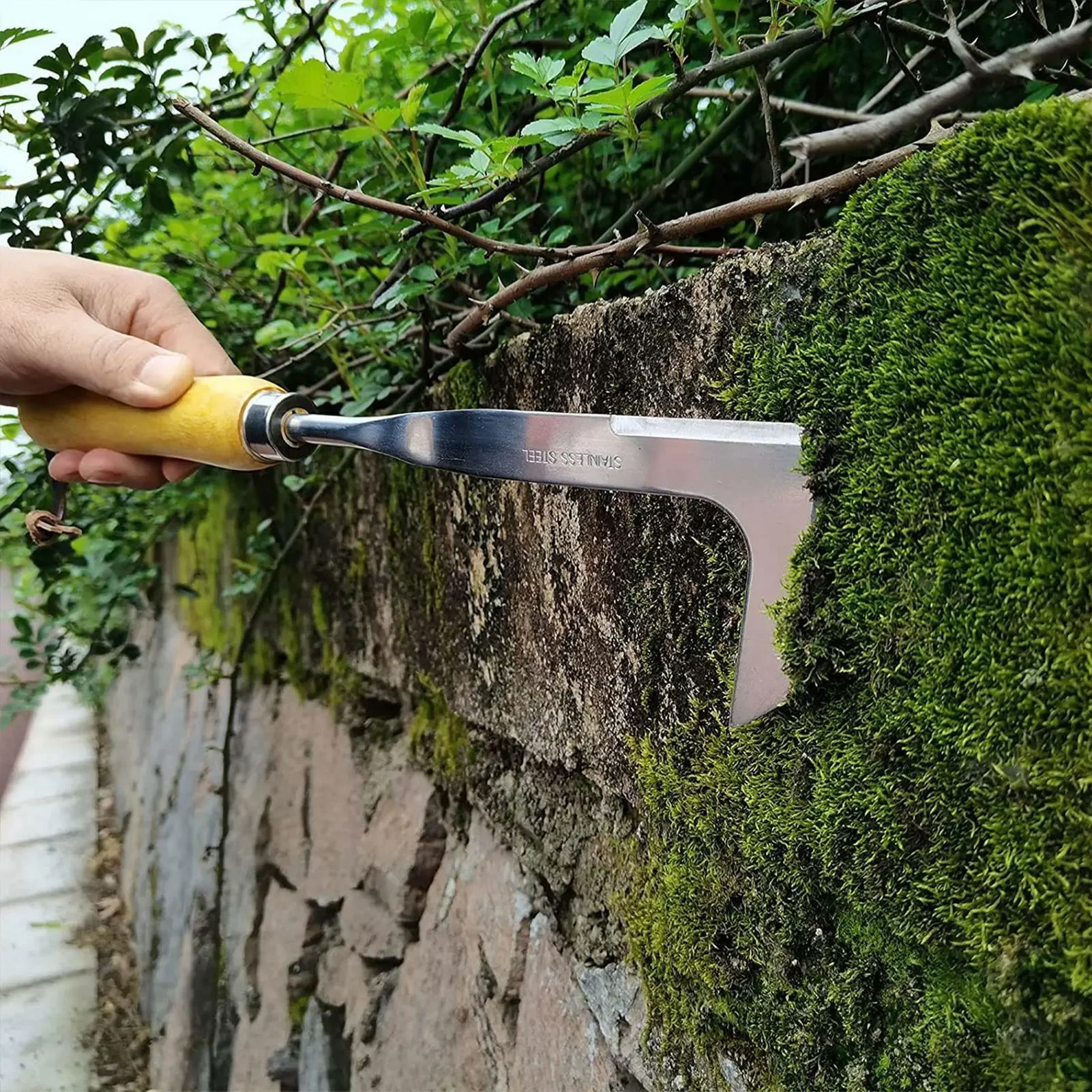 L Shaped Hand Crevice Weeder Root Remover Tool Outdoor Weeder Portable Weed Puller Handled Manual Stainless Steel Garden Tool
