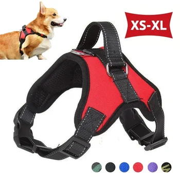 Dog Harness 1