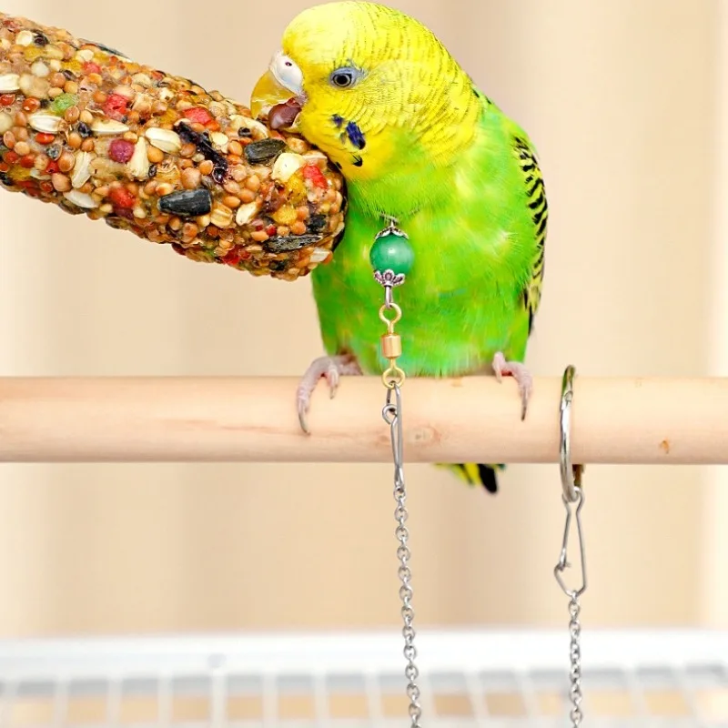 Bird Parrot Foot Chain Stainless Steel Ankle Foot Ring Stand Chain Outdoor Flying Training Bird Accessories