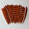 IBOUNFOX 50pcs Turkey Feather Fletching 4 Inch Right Wing Arrow Feather Parabolic Shape for Bow Accessories 4