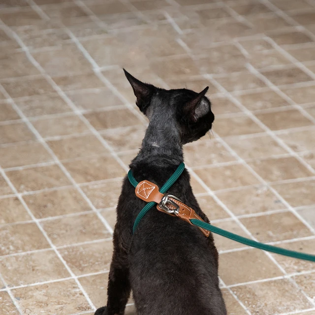 Adjustable Cat Chest Harness Set With Adjustable X-shaped Anti Slip Cat Traction Rope And Cat Walking Rope Walking Leash Set 6