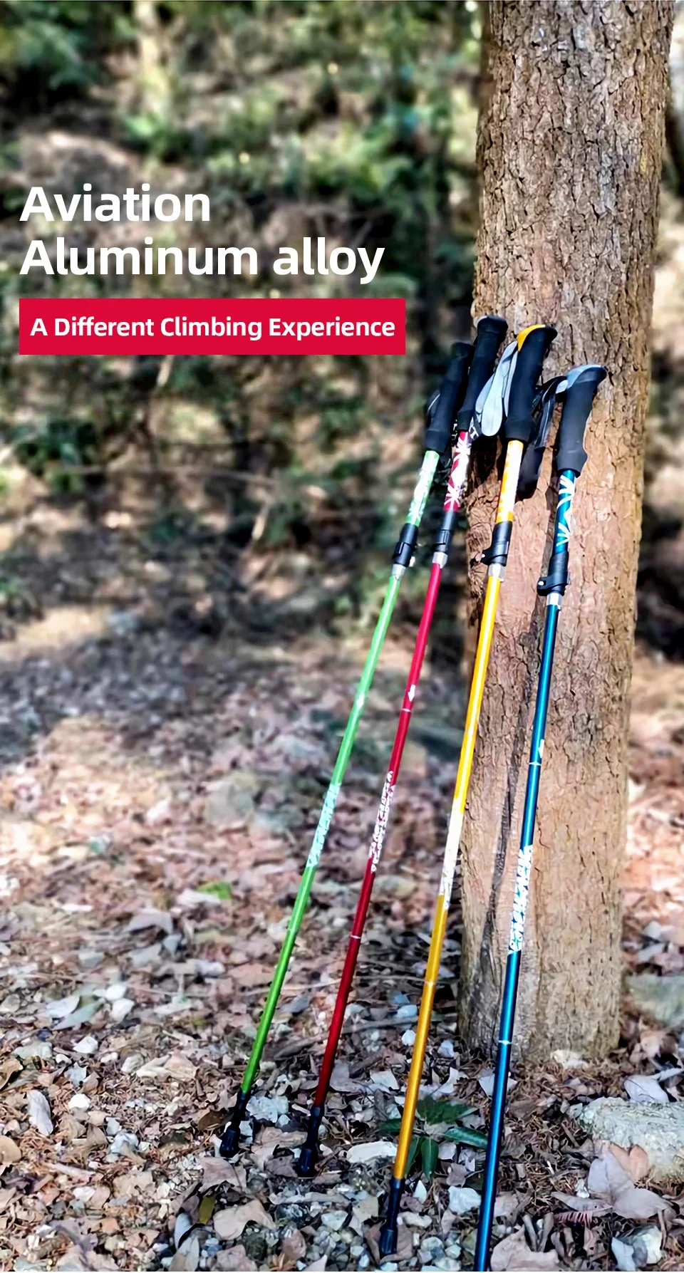 Bastone da trekking telescopico per escursionismo e nordic_voghion.com