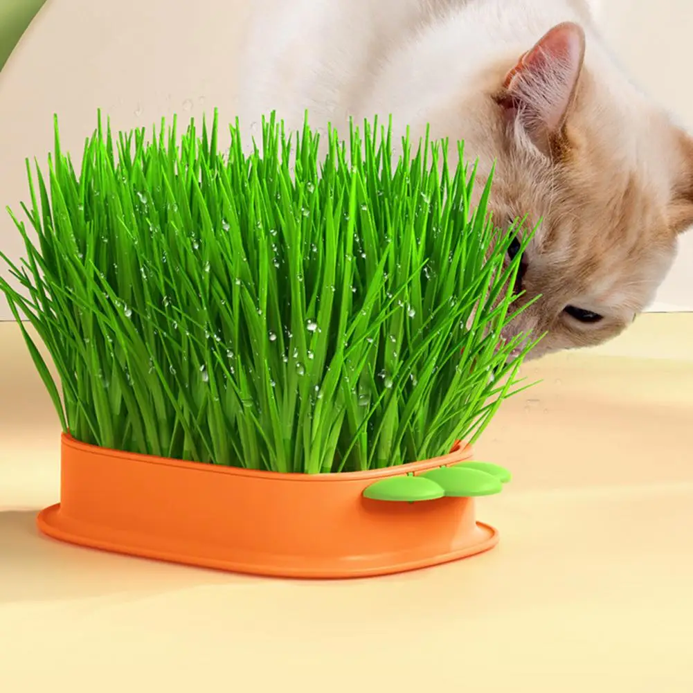 

Cat Grass Planter Carrot Shape Hollow Grid Chassis Double-layer Soil-free Hydroponics Pet Cat Sprout Dish Growing Pot Grow Box