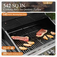 Burner Gas BBQ Grill with Side Burner and Porcelain-Enameled Cast Iron Grates, Propane Grills Outdoor Cooking Barbecue 2