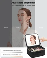Makeup Organizer with Mirror Light 3 Adjustable Brightness Travel Train Case Cosmetic Bag Portable Storage Partition Waterproof 2