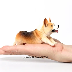 Realistic Dog Figurine Collection - Labrador, Golden Retriever, Shiba Inu, Schnauzer, Poodle Décor & Party Favors (Corgi - 1)