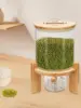 Flour and Cereal Container, 1.32gal, Rice Dispenser, Glass Food Storge Container for Kitchen Organization and Pantry Store Vial 3