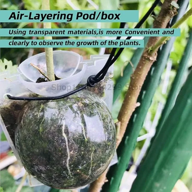 Reusable Plant Rooting & Propagation Ball