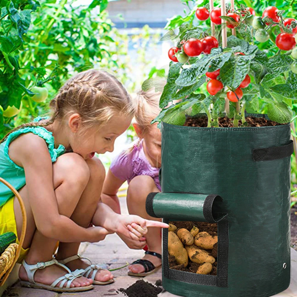 GardenTool Potato Grow Bag PE Vegetable Grow Bags with Handle Thickened Growing  Bag Vegetable Onion Plant Bag Outdoor Garden Pot - AliExpress