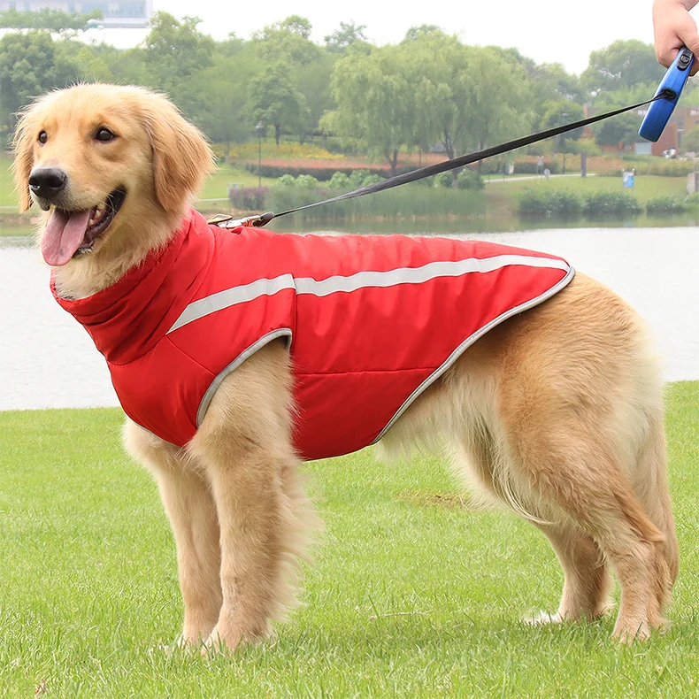 

Golden Retriever clothing Autumn and Winter Medium and large dog Labrador corgi winter warm thick cotton coat with fleece