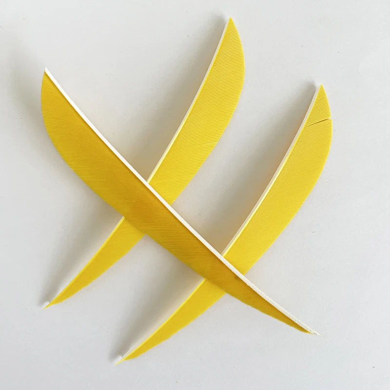 100 Plumes Pour Empennage De Flèche - 4 Pouces, Aile Droite