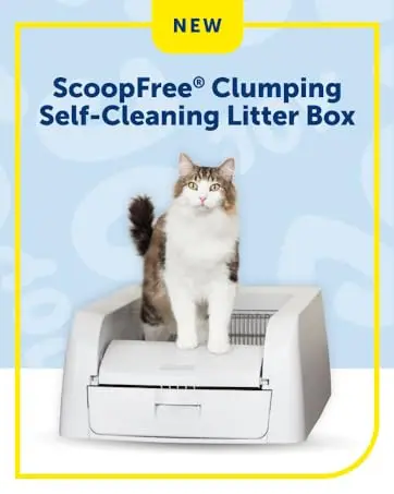 scoopfree clumping box