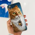 Case-c04