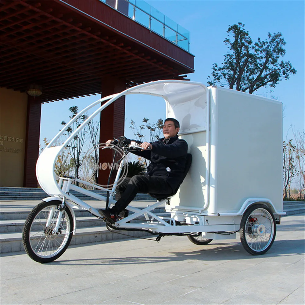 1000W Gears Assistente Elettrico Grande Trasporto Velo Cargo Grocery Delivery Bike Commercial Logistics Trike Triciclo