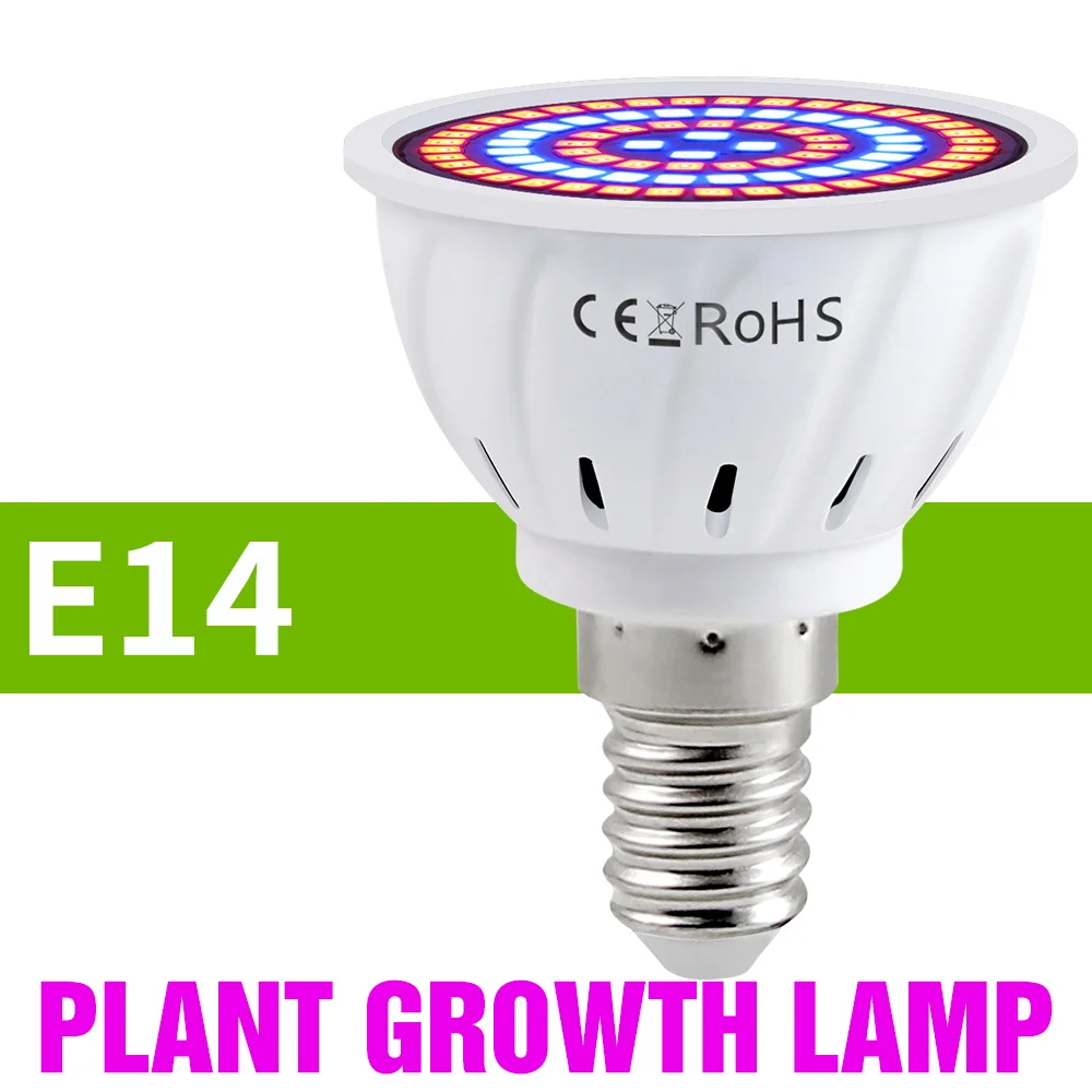 E14