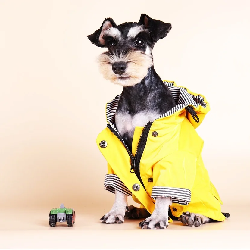 Fashion Pet Dog Raincoat Windproof Rainproof Yellow Puppy Hoodies Jacket Multi-size Suitable for Large Medium Small Clothes | Дом и сад