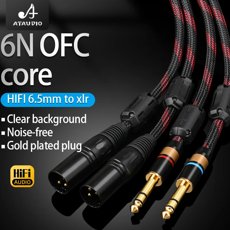 Premium High-Fidelity Dual 6.5mm to XLR Audio Cable with 6N OFC for Amplifiers and Sound Systems