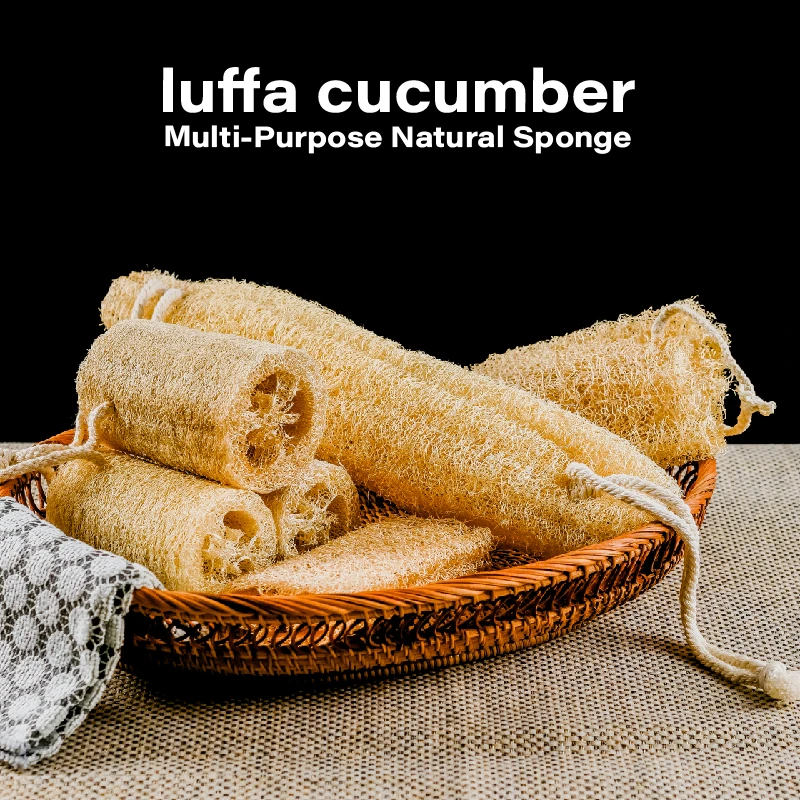 Natural Loofah Sponge Set for Dish Washing Pot Cleaning Vegetable Scrubber Eco Friendly Exfoliating Bath Shower Sponge 2