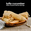 Natural Loofah Sponge Set for Dish Washing Pot Cleaning Vegetable Scrubber Eco Friendly Exfoliating Bath Shower Sponge 2