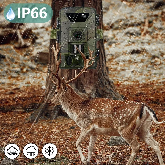 PR803W with Night Vision & App Control 2 inch 8K WiFi Trail Camera- 60MP Hunting Camera,IP66 Waterproof for Wildlife Monitoring 6