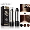 Instant One-time Hair Dye Pen To Cover White Hair, Lipstick Style Hair Dye, Black Temporary Hair Dye Hair Color Modify Cream 4g 2