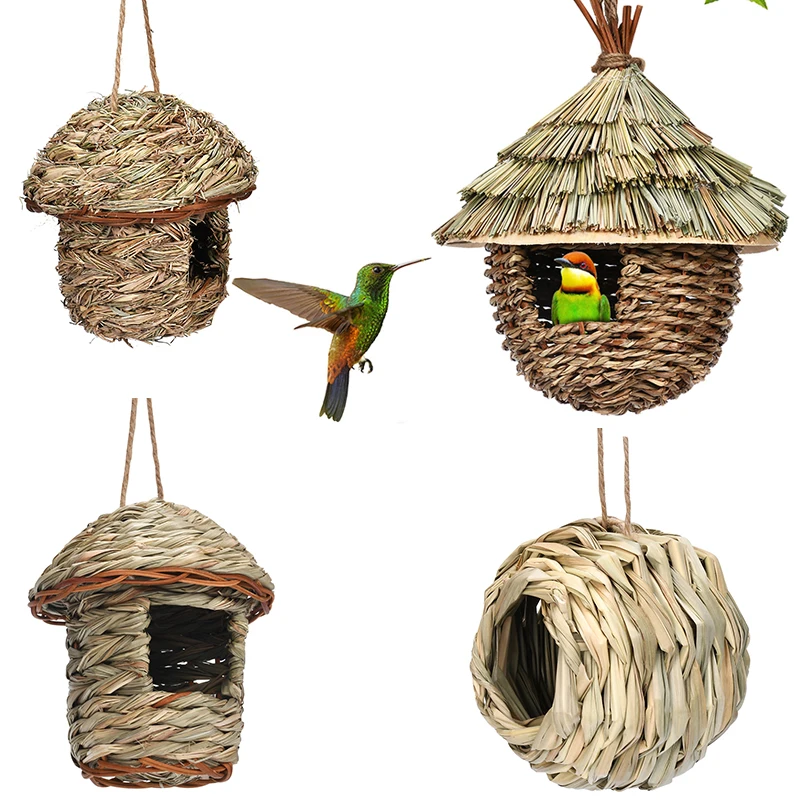 Natural Birds Nest Bird