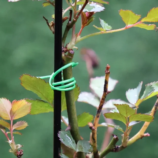 Plant Twist Ties Iron Wires Support Portable Garden Climbing Cane 2