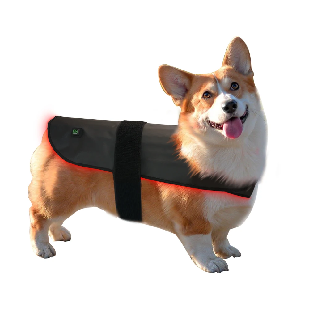 Anti-Inflammatory Factory 660nm Red Light Therapy Dog Back Pad