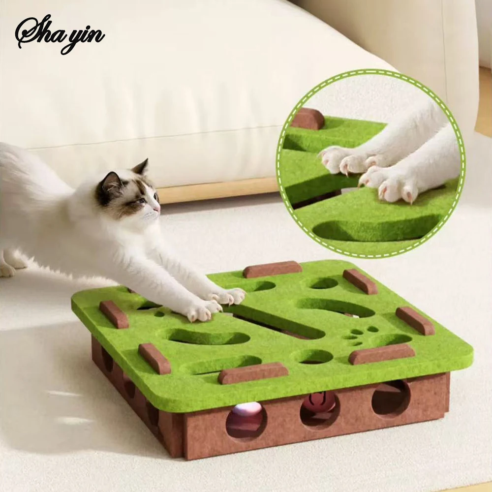 Puzzle Cat Toy 1