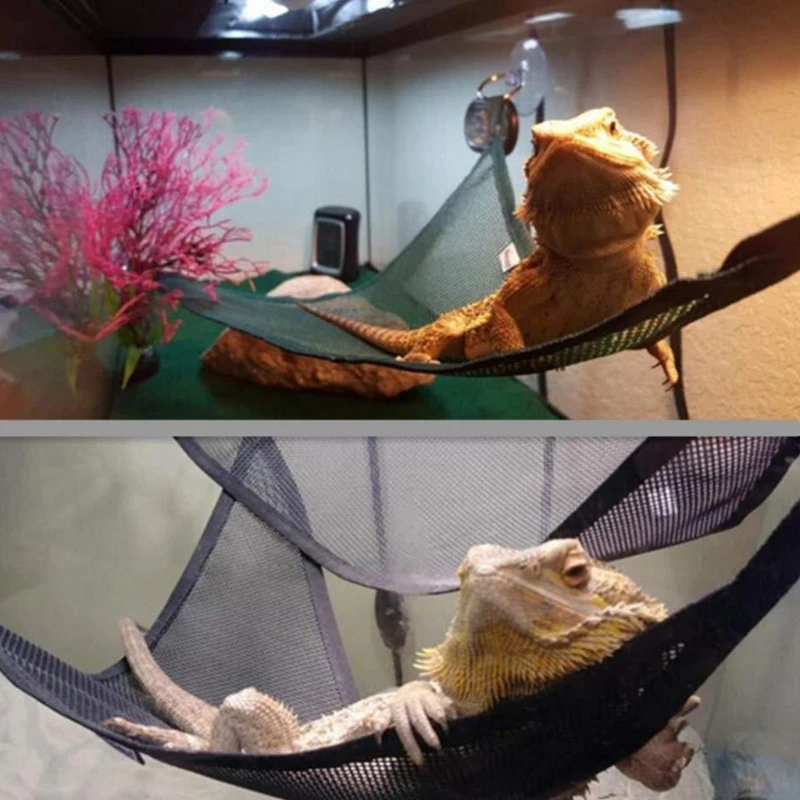 Bearded Dragon Hammock Lounger Ladder Hanging Bed Accessories Habitat Terrarium Decoration for Bearded 2 Pack reptile hammock