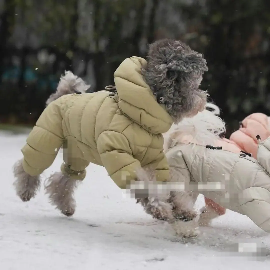 Cozy Korean Teddy Poodle Winter Jacket - Four-Legged Thick Down Coat for Warmth and Cold Protection