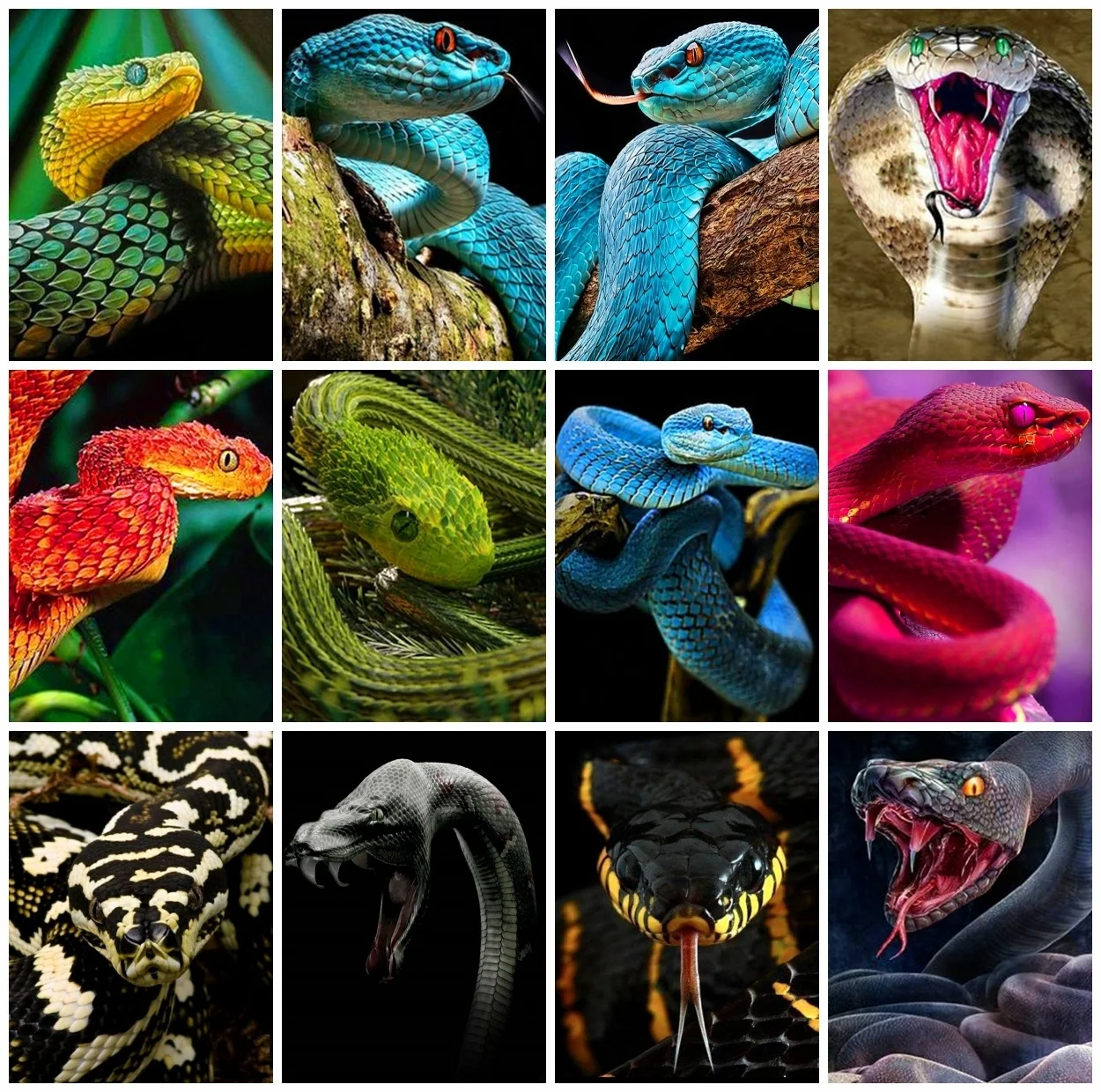 Diamond Painting Snake Cross Stitch Picture Rhinestones Diamond Embroidery Animal Mosaic Handicraft Home Decor Gift diamond painting diamond painting accessories
