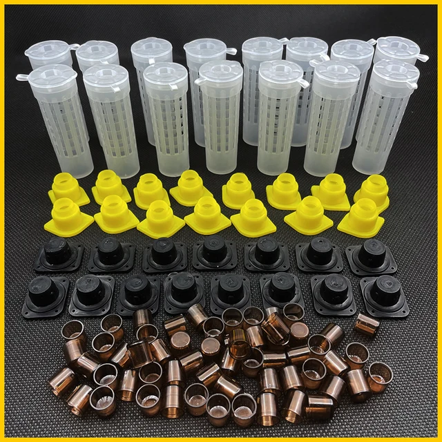 1 Beállított Apikultúra Queen Nevelőkészlet Platikus Védelem Cage Brown Cell Bee Tools Méhészeti Farm