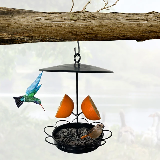 Mangeoire en métal pour oiseaux et fleurs, poteau sur pied, décoration de  jardin, Art de plein air, colibri