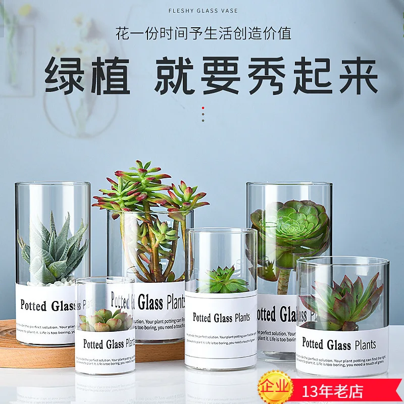 

Minimalist European Style Succulent Glass Planter Wind Table Hydroponic Planter TransParent Glass Potted Small Vase