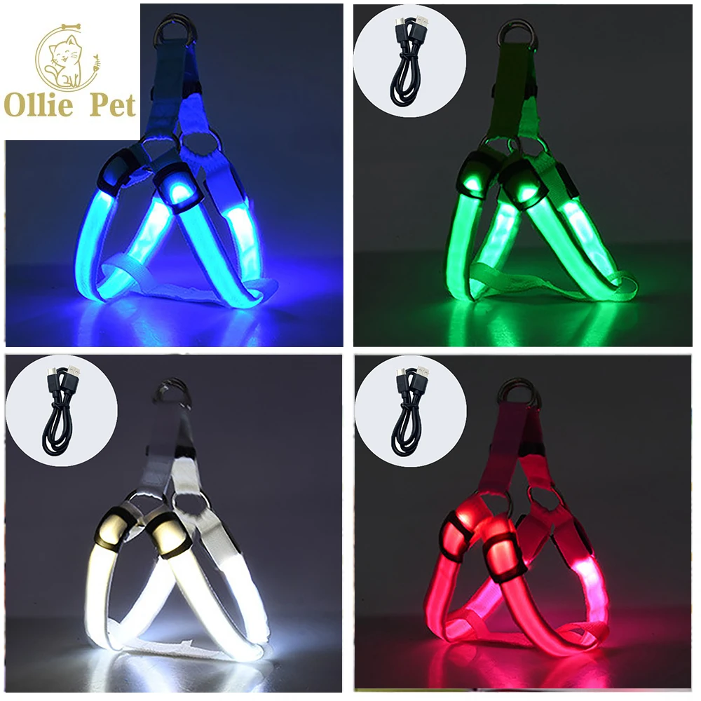 LED Adjustable Dog Leash Harness, Puppy Flashing Harness, USB Rechargeable,  Anti-Lost, Car Accident Light, Night Safe, Luminous - AliExpress, image size:1000x1000