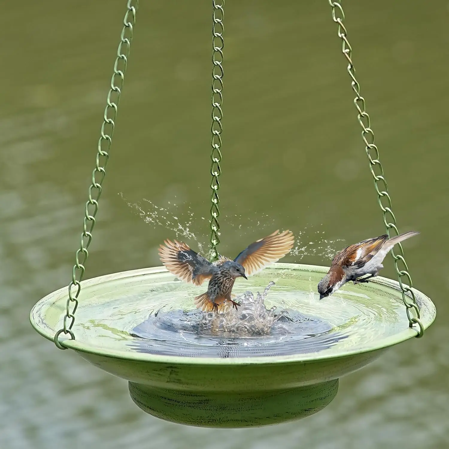 Solar Hanging Bird Bath image 6