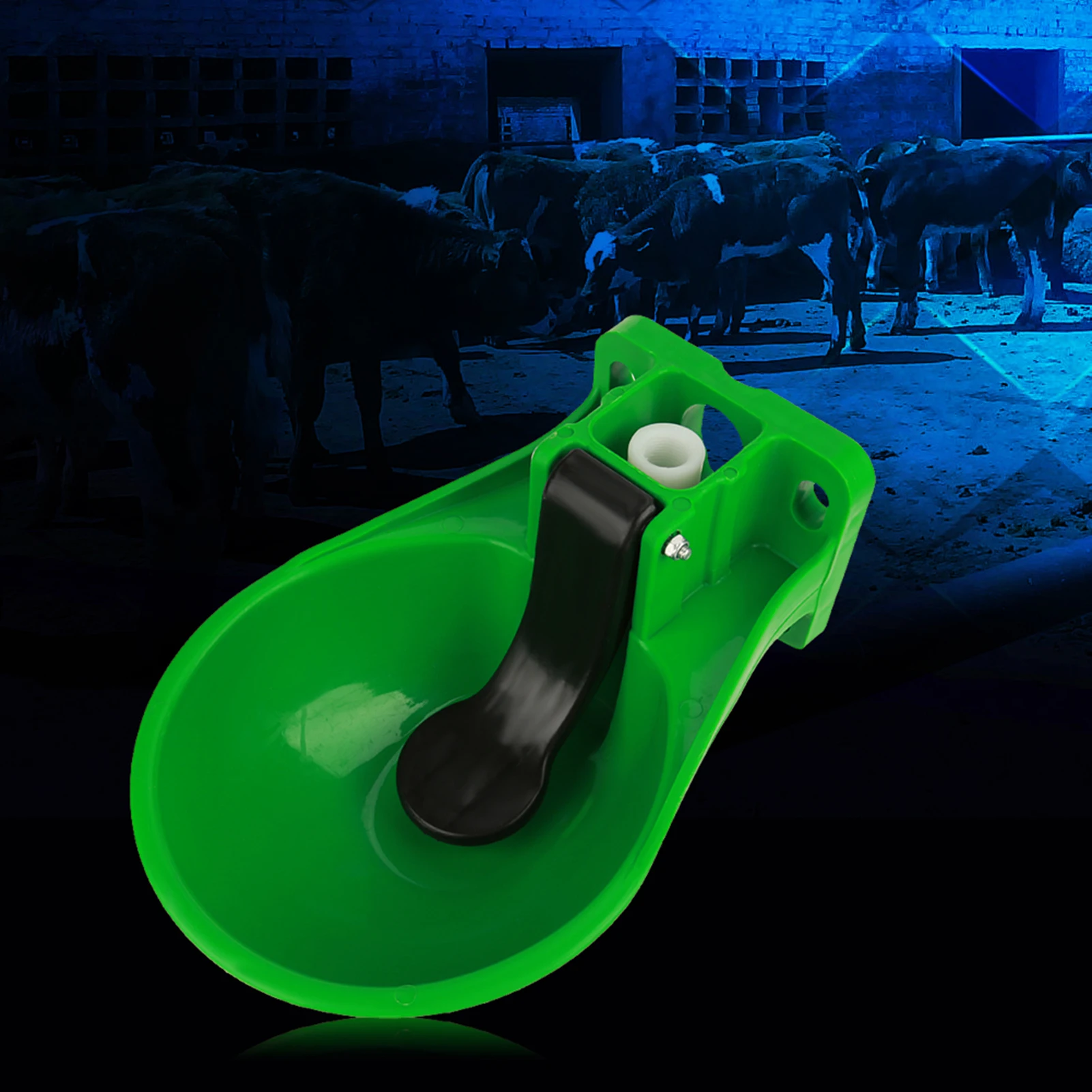 öƽ ڵ , ġ ġ ,   ô ,  ô ׸