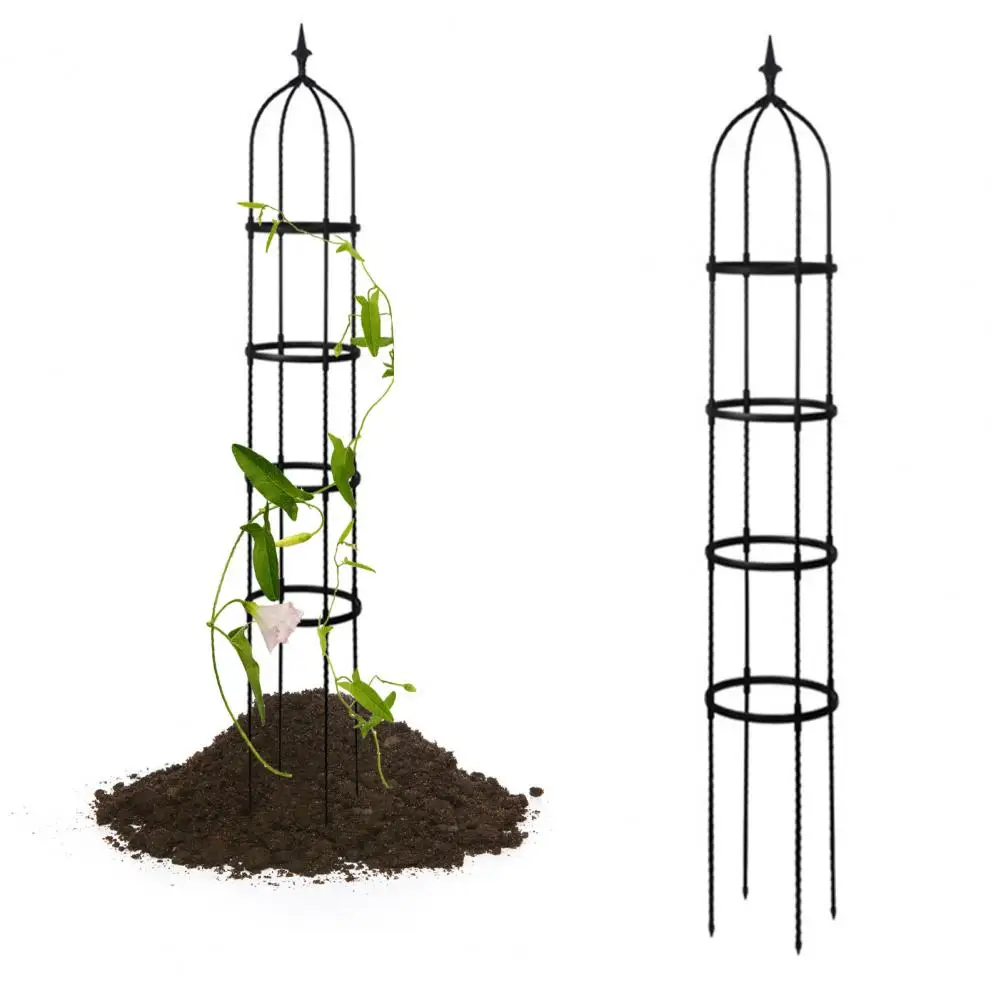 PlantClimbingFrameTrainingClimbingPlantsSupportSturdyEasytoinstallPlantClimbing