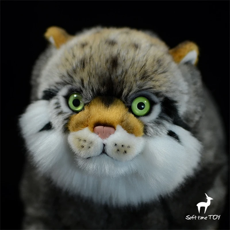 Steppe Cat High Fidelity Pallas Cat Cute Plushie Manul Plush Toys Lifelike Animals Simulation Stuffed Doll Kawai Toy Gifts Kids 5