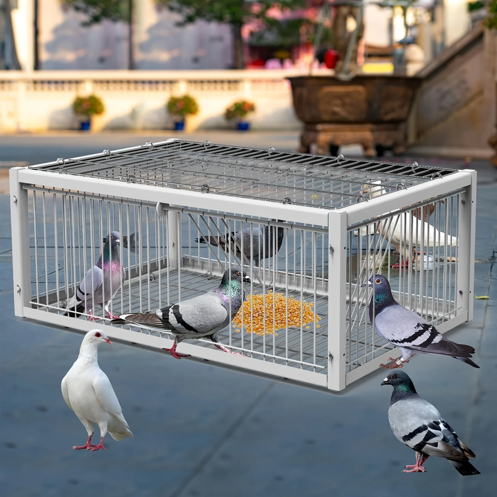 Animal Cage Trap Heavy-Duty Automatic Cage Trap for Pigeons Two-Door Entry Anti-Escape Design Ideal for Gardens Outdoor Hunting